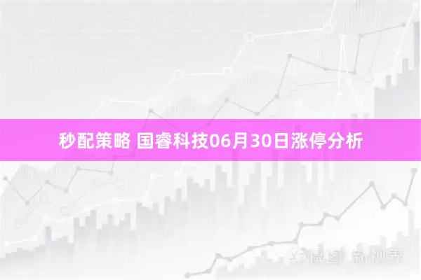 秒配策略 国睿科技06月30日涨停分析
