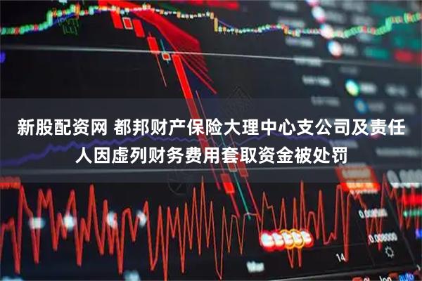 新股配资网 都邦财产保险大理中心支公司及责任人因虚列财务费用套取资金被处罚