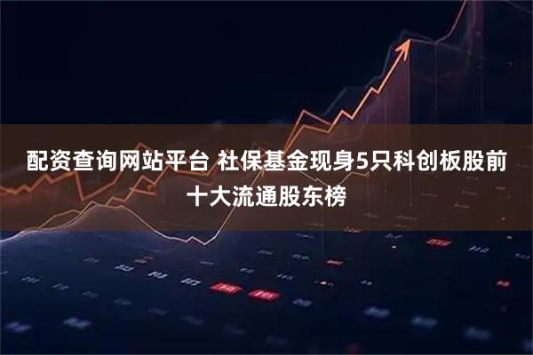 配资查询网站平台 社保基金现身5只科创板股前十大流通股东榜
