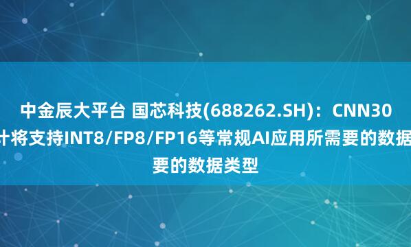 中金辰大平台 国芯科技(688262.SH)：CNN300预计将支持INT8/FP8/FP16等常规AI应用所需要的数据类型